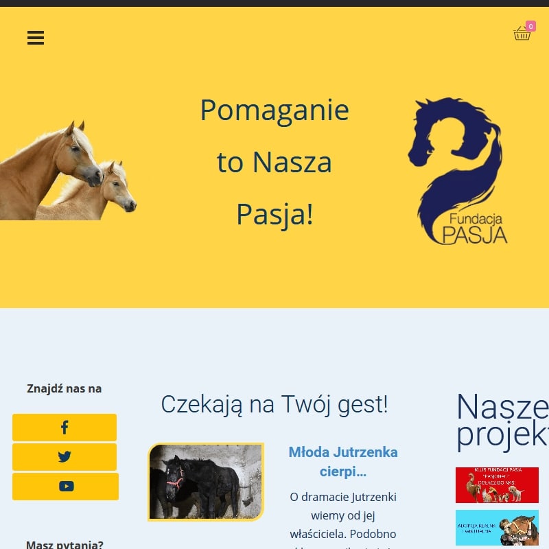 Konie adopcja