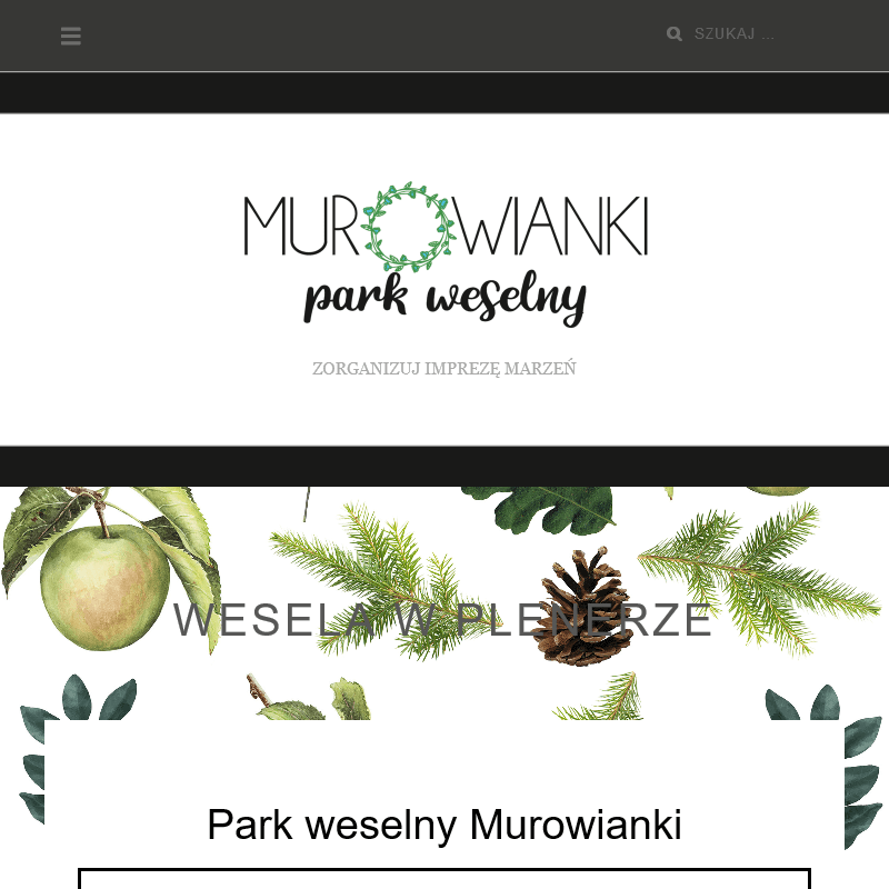 Sale na wesele łódzkie - Kalisz